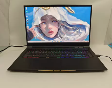 ?9成新机械革命蛟龙7X R9 5900 ...