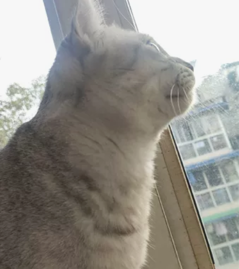 成都本地收一个侧透机箱 有电源的更好 ...