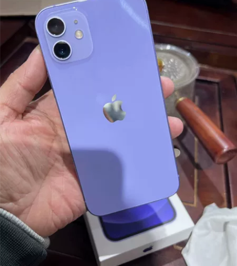 苹果12国行256成色如图本机拍摄，电池8...