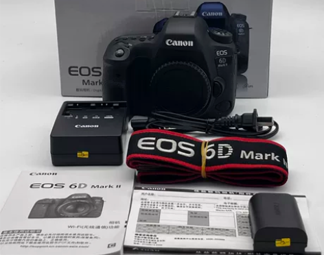 ?佳能 EOS 6D Mark II 正常...
