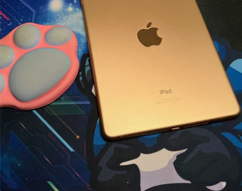 苹果 iPad mini5 2019款 外...