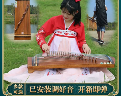 杨家匠小古筝初学者入门成人儿童专业演奏便携...