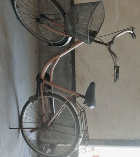 出售自行车一辆，上海永久牌，69米，车子好...