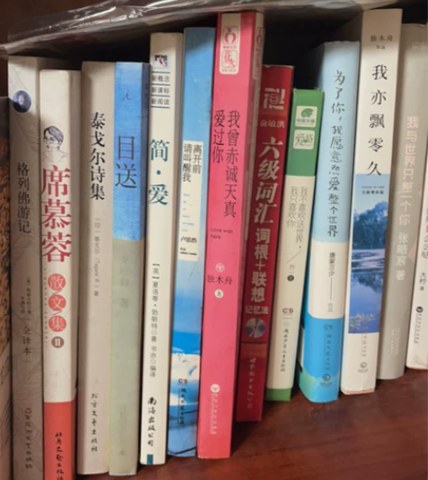 图中任选两本都十块 不包邮 格列佛游记 席...