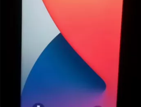 低价出ipone11 苹果11 图...