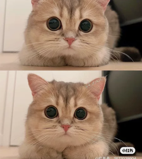 价格40一次！！！！！！5公里内 超过每公...