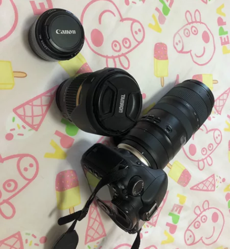 自用佳能7D带腾龙SP17-50mm F2...