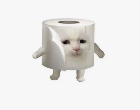 英文。。  留学生会计英文辅导 会计 金融...