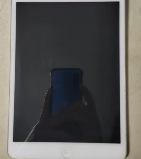 闲置苹果iPad mini1 16G,自用...