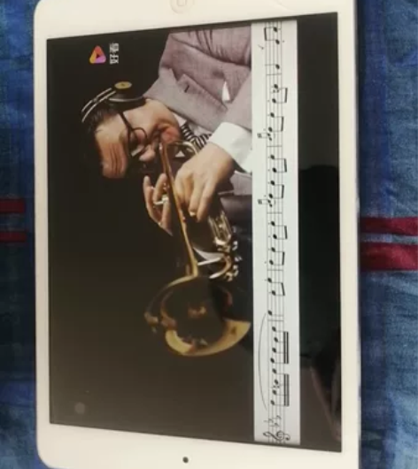 苹果A1432    ipad mini ...