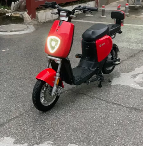 雅迪欧豆  48V15A锂电，可提取式充电...