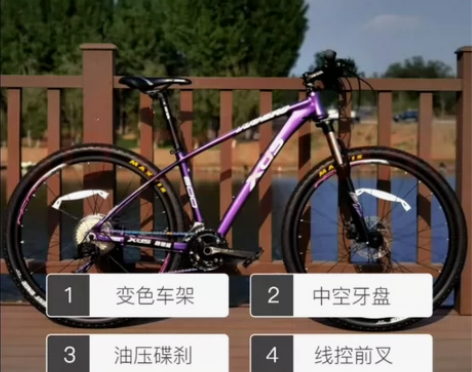 喜德盛英雄600青春版，京东入手，买了公路...