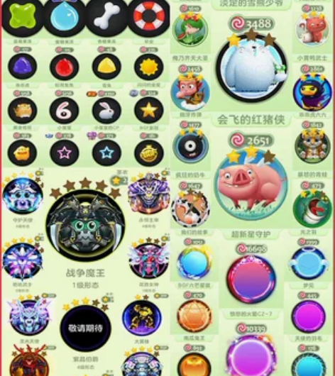 球球大作战：极品大白熊2级飞猪满级西瓜姑娘...