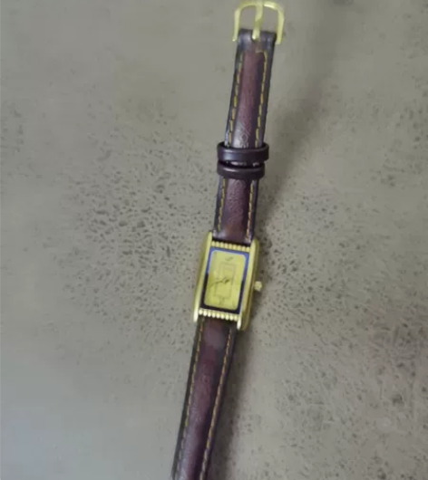 全新手表，飞盘比赛抽的一等奖，原价1299...