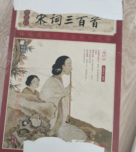 宋词三百首 书皮有破损 无批注 共334页...