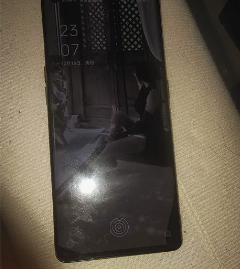 OPPO Reno6PRO  12G256...