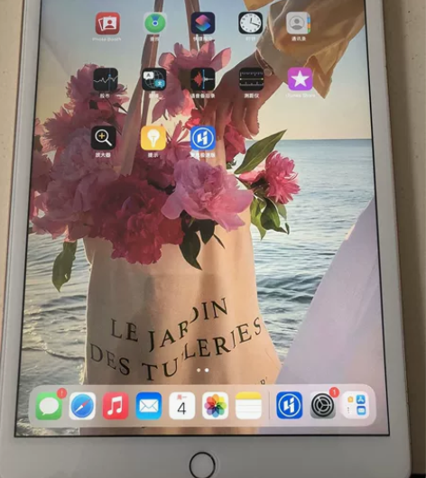 苹果平板iPad(2019)插卡+wife...