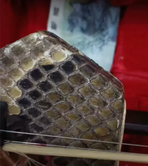 苏艺老二胡一直放着,比现在七八百的二胡强多...