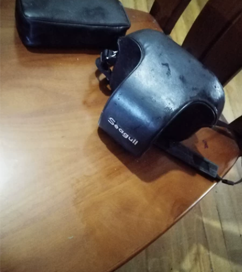 出上海产海鸥seaguLL单反相机，三十年...