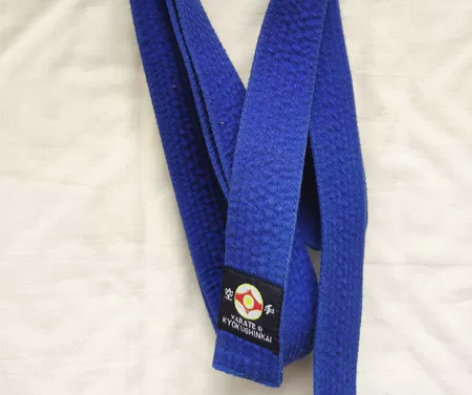 儿童空手道蓝带，轻微使用痕迹 感兴趣的话点...