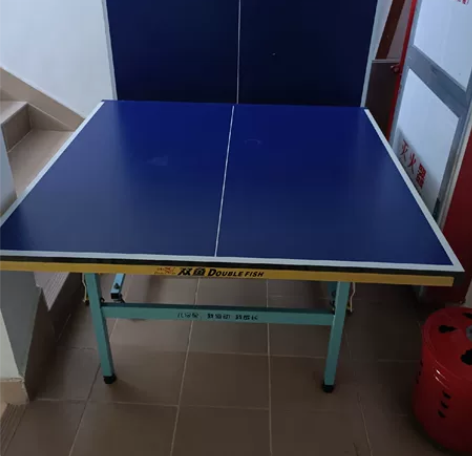 正品双鱼乒乓球桌,单块1.2米X1.1米,...