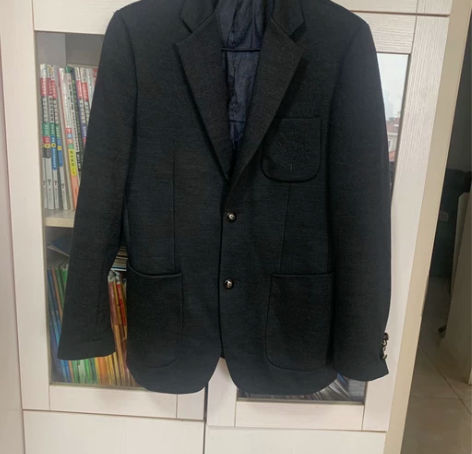 扬子鳄羊毛西服男 如图！180码无瑕疵无破...