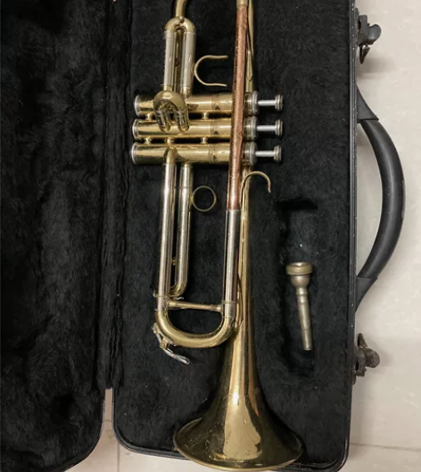 小号,铜小号,不会用,看图自鉴 感兴趣的话...