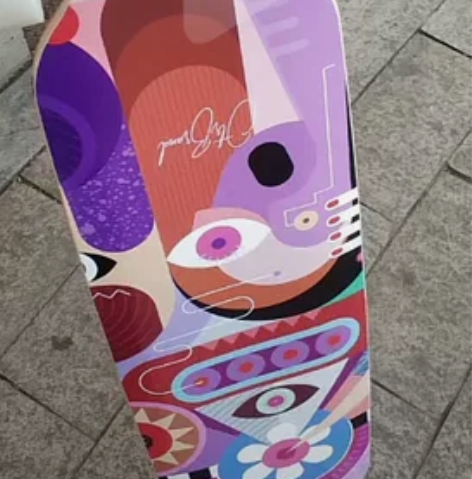 长板抖音滑板初学者成人公路全能板刷街反装男...