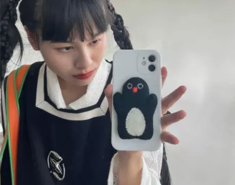 花花快乐日/毛毡企鹅iPhone13手机壳...