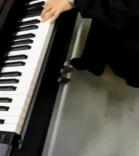著名钢琴家朗朗代言的TneONE钢琴，全新...