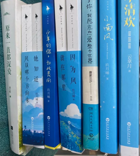 高中时期买的小说现在清理书柜啦 八块钱一本...