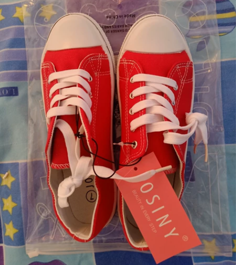 全新红色帆布鞋，38码，全新的，吊牌都还在...