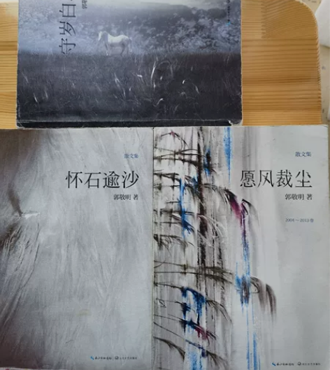 郭敬明散文集 守岁白驹、愿风裁尘、怀石逾沙...