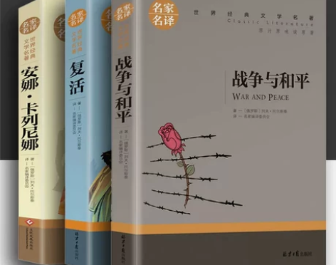 战争与和平上下册 中文无删减版世界十大名著...