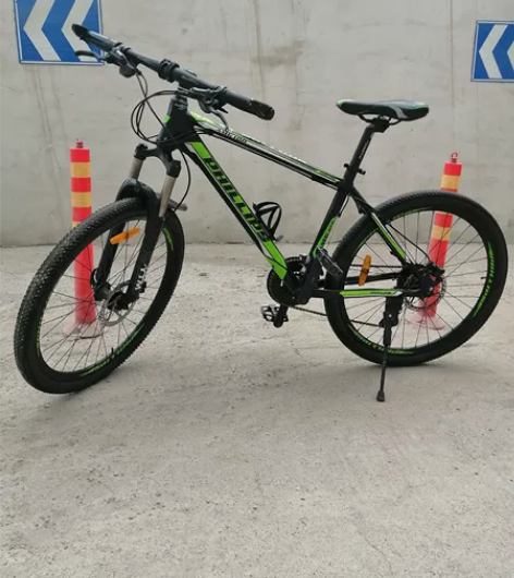 菲利普AMG100山地车 高端车，成色还不...