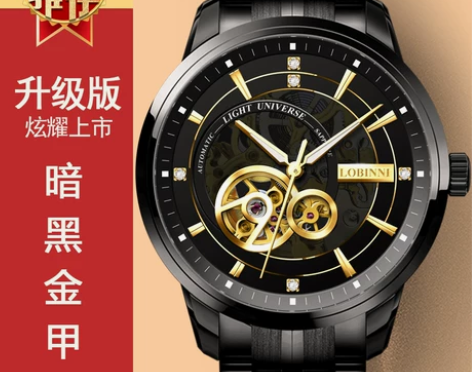 【双11狂欢价】罗宾尼品牌正品手表男机械表...