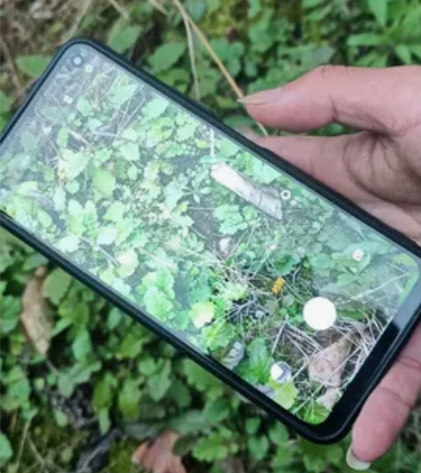 VIVO VIVO iQOO Z1x（5G...