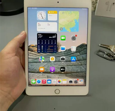 个人闲置 苹果平板 iPadmini5 ...
