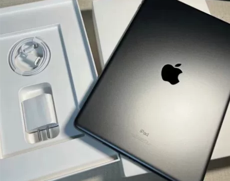 灰出个人闲置iPad2021款256G，1...