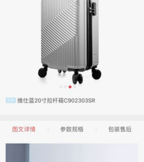 维仕蓝20寸拉杆箱C902303SR 全新