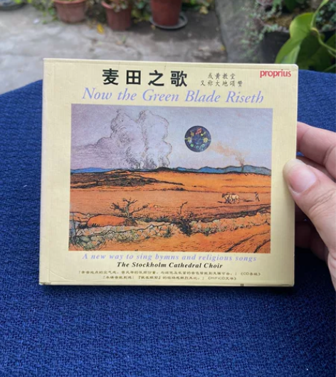 麦田之歌 大地颂赞 世界音乐 新世纪经典唱...