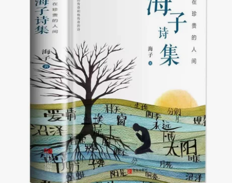 海子诗集海子诗全集海子的诗歌全集鉴赏诗词书...