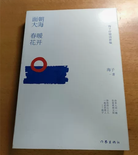 《面朝大海,春暖花开》 原价38.6现在只...