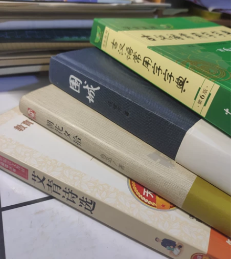 初中课外阅读书籍 艾青诗选，古汉语常用字字...