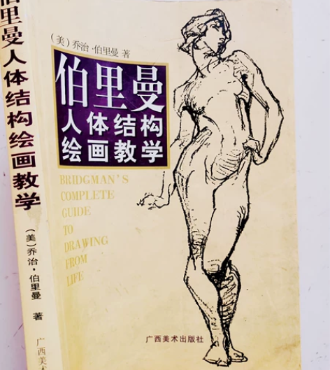 伯里曼人体结构 有助于画速写，画动漫人物 ...