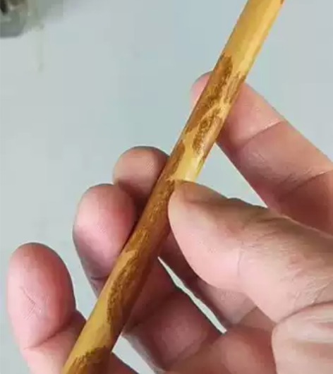 珍藏红湘妃老毛笔 经典仿唐纯狼毫小楷(长2...