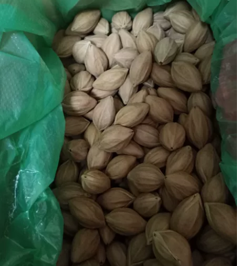 榄核三毛1.89~.....12个98元，...