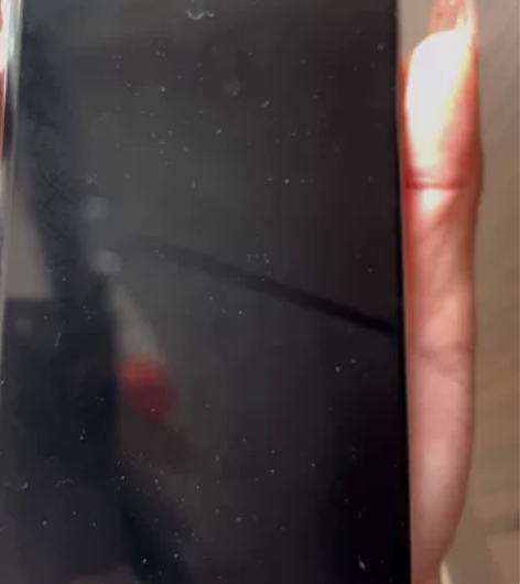 自用苹果iPhone X 256G内...