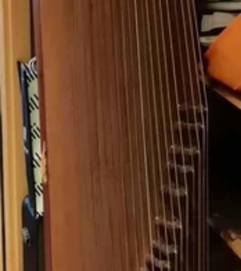 古筝闲置，吃灰十多年了！音色靓！ 喜欢的可...