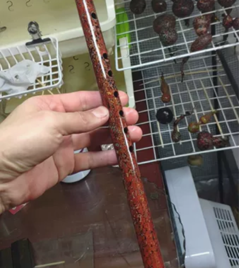 大漆笛子，绝美 感兴趣的话点“我想要”和我...
